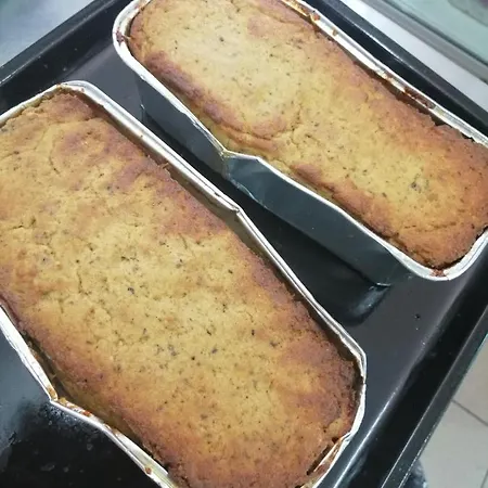 Firma Kajaki Centrum Lodge Ruciane-Nida